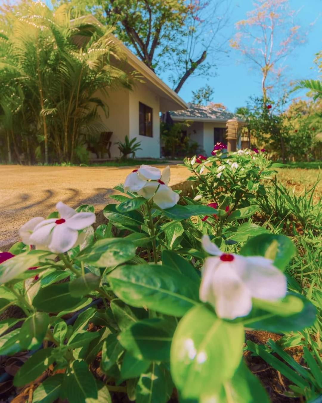 Buddha Retreat Hotel San Juanillo Экстерьер фото