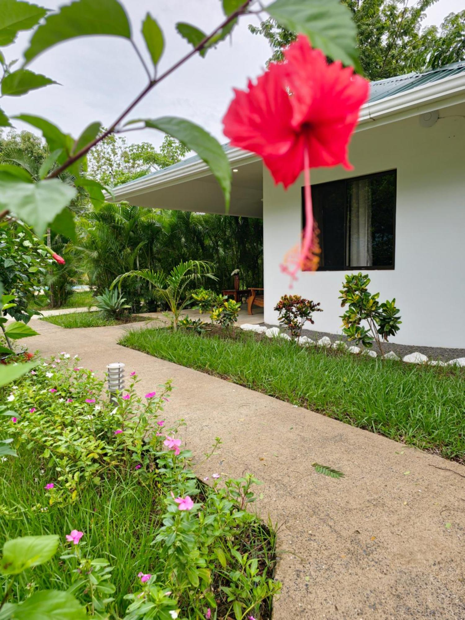 Buddha Retreat Hotel San Juanillo Экстерьер фото