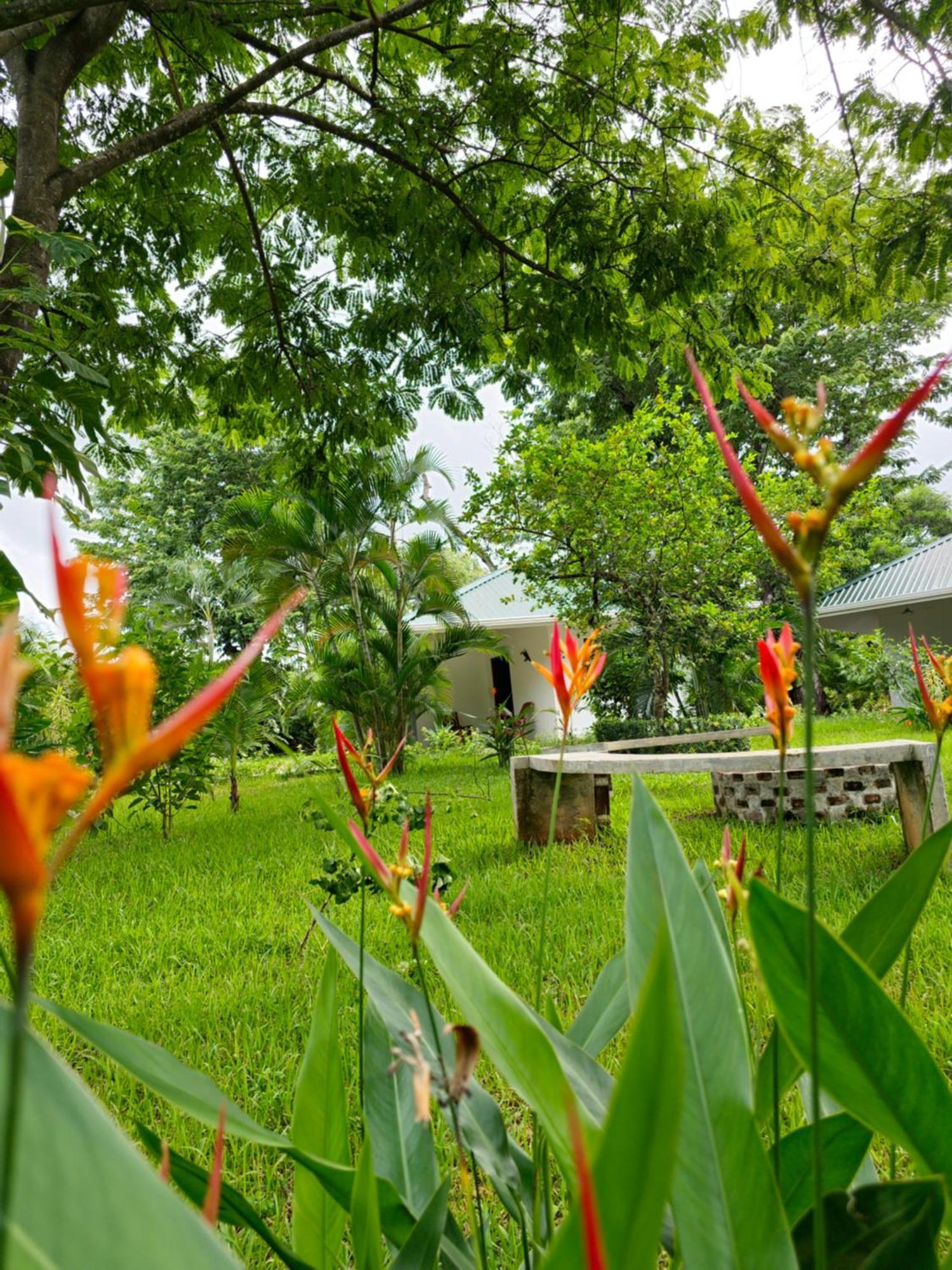 Buddha Retreat Hotel San Juanillo Экстерьер фото